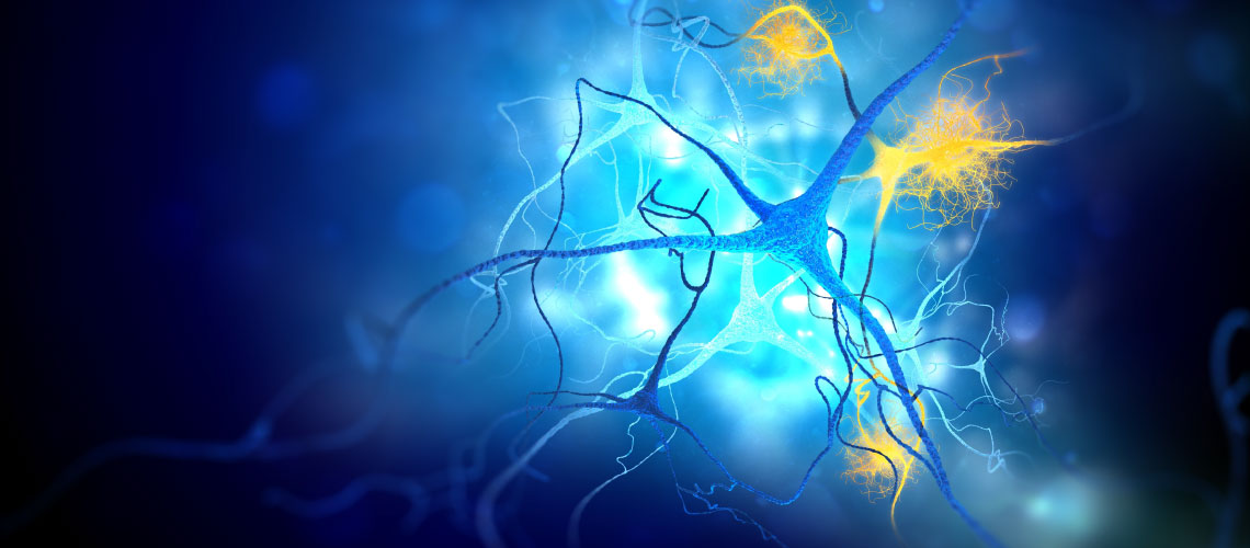 Colina como nutriente neuroprotetor e metabólico: evidência científica em destaque