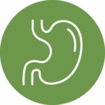 Facilitam a digestão