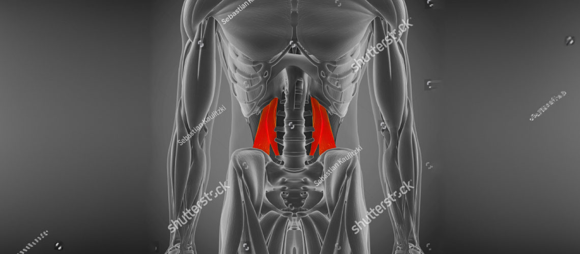 Dor lombar muscular localizada: a contratura do quadrado lombar como componente da lombalgia