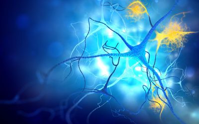 colina-nutriente-neuroprotetor-1