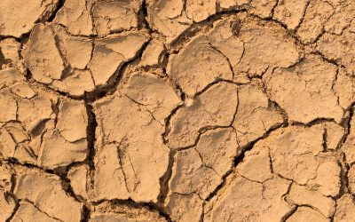 imagem de terra seca simbolizando dermatite atópica