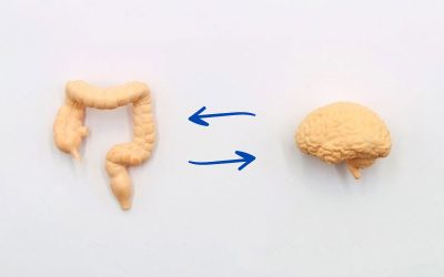 Gastro e psi (os dois cérebros) e a síndrome do intestino irritável