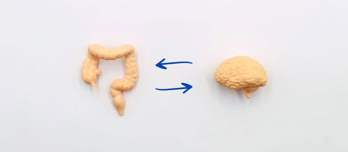 Gastro e psi (os dois cérebros) e a síndrome do intestino irritável