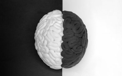 perturbacao-bipolar-1