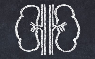 sindrome-nefrotica-1